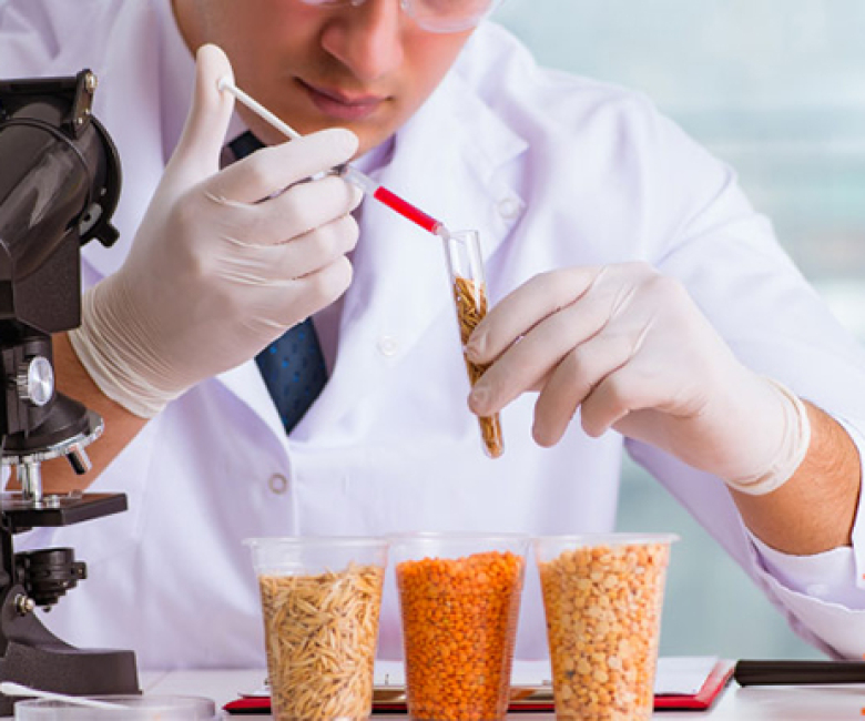 product developmentju